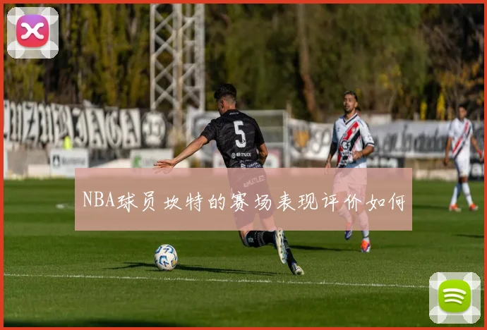 NBA球员坎特的赛场表现评价如何