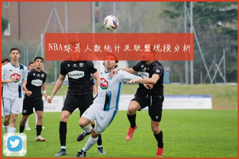 NBA球员人数统计及联盟规模分析