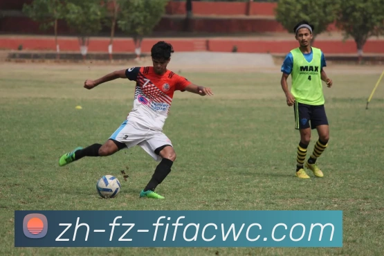 世界杯在线观看品牌故事