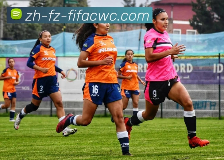 世界杯在线观看服务体系