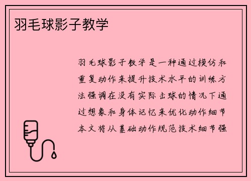 羽毛球影子教学