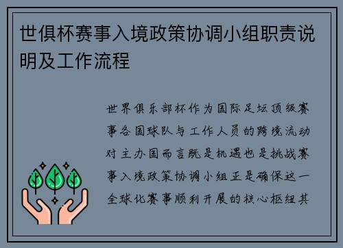 世俱杯赛事入境政策协调小组职责说明及工作流程