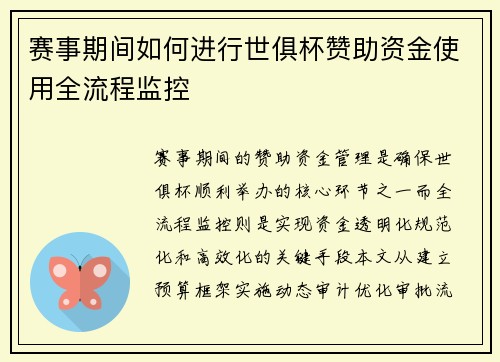 赛事期间如何进行世俱杯赞助资金使用全流程监控